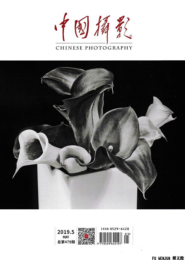 2019 Chinese Photography